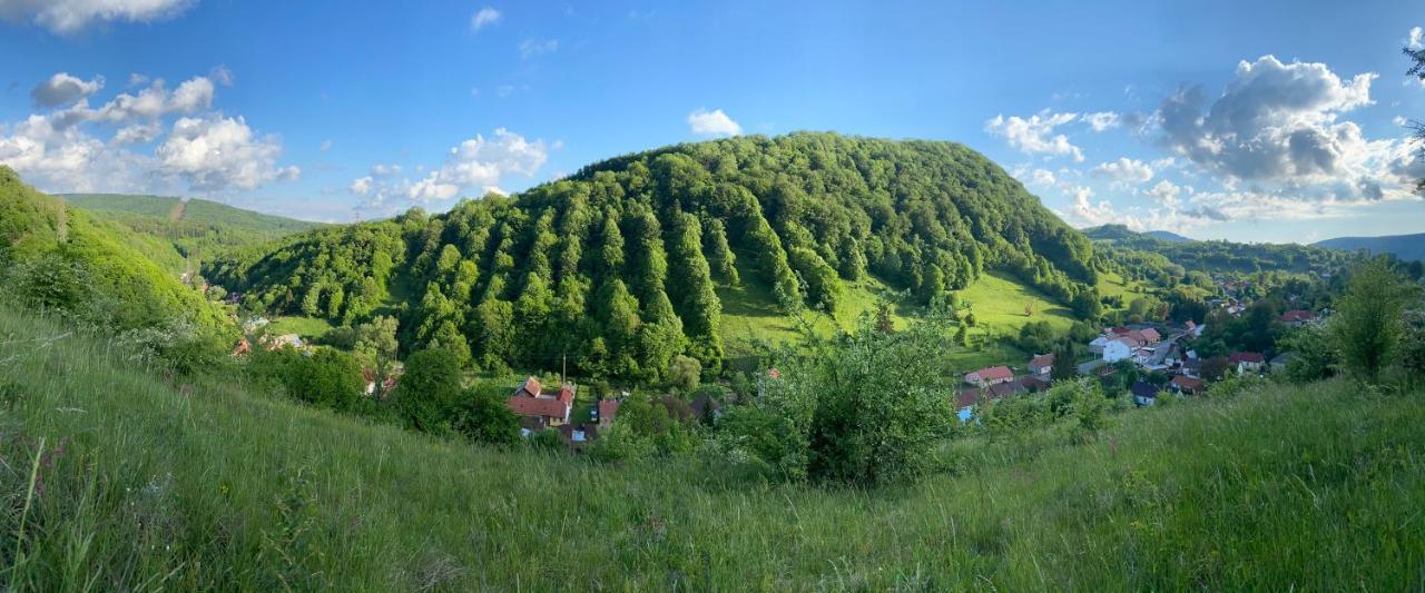 Pensiune Muntii Aninei Anina Zewnętrze zdjęcie